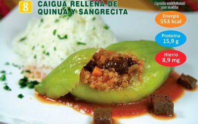 Caigua rellena de Quinua y Sangrecita